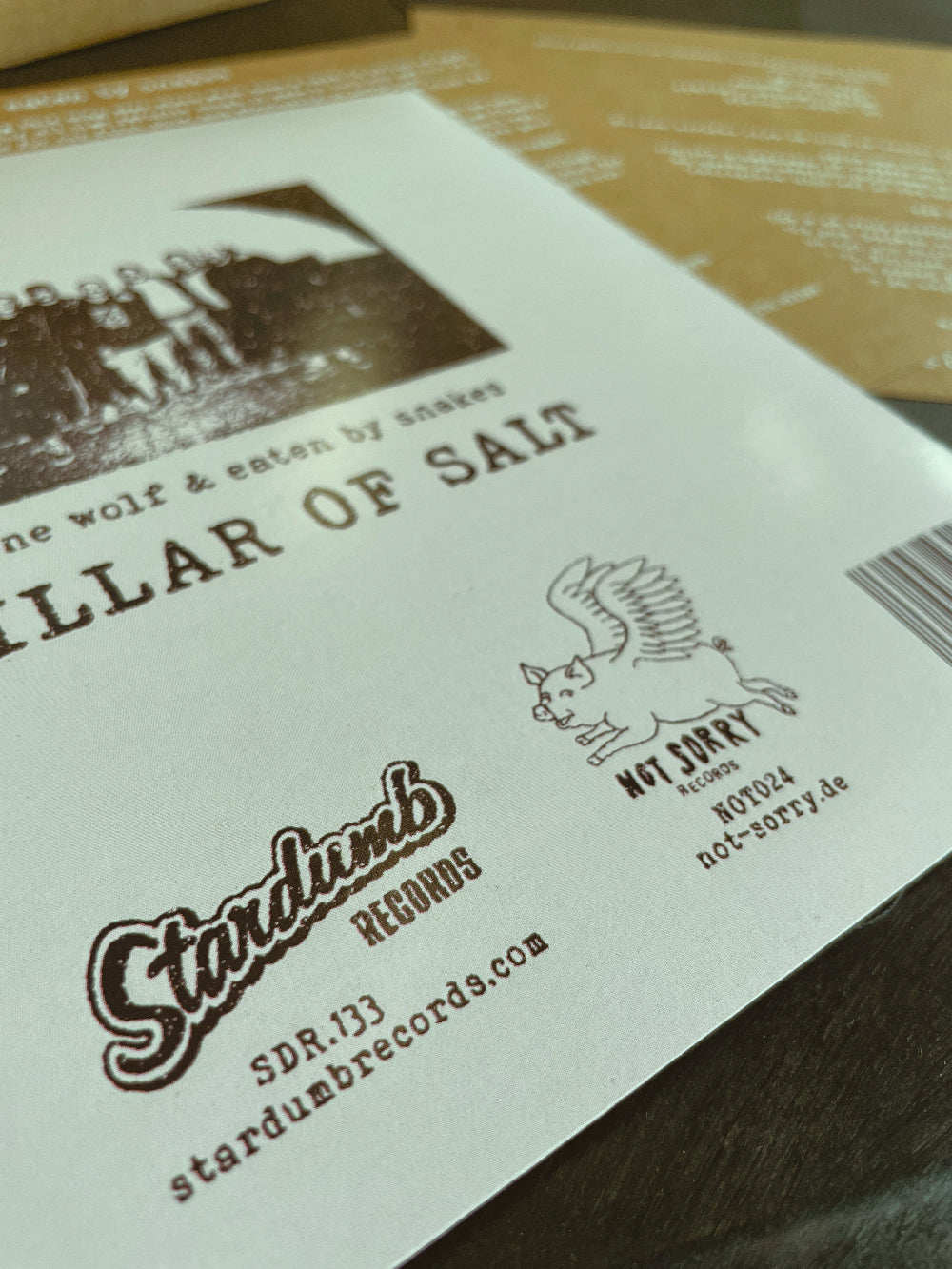 A Pillar of Salt 7" LP