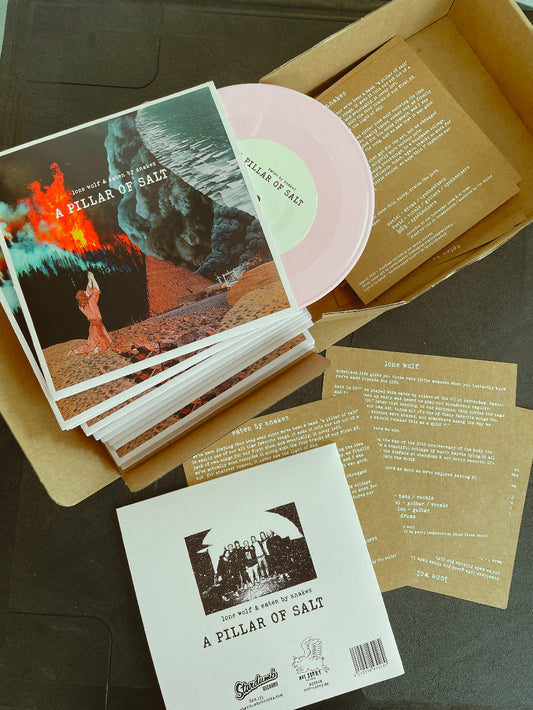 A Pillar of Salt 7" LP